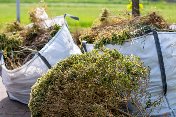 Full-Service Junk Removal in Annandale, VA